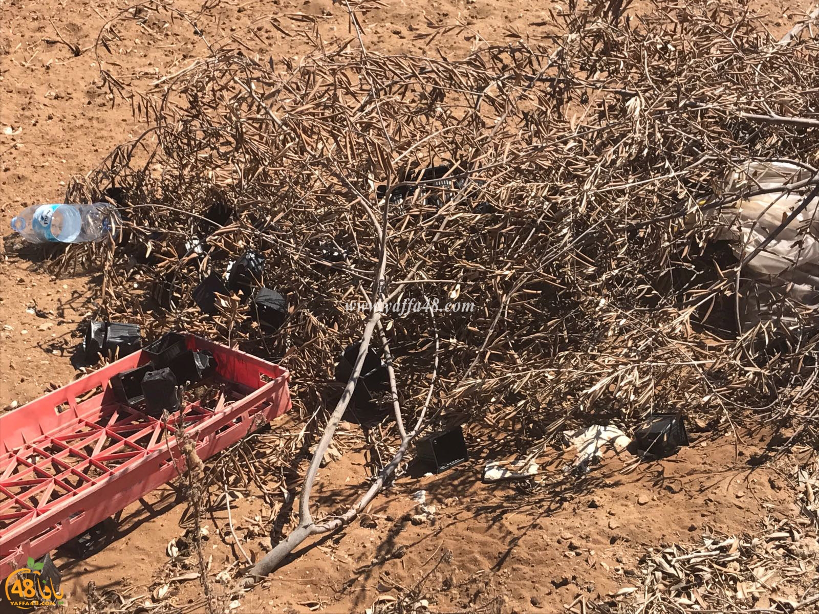 tasoo aswsaj3h (5).jpg